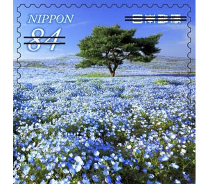 Natural Landscapes - Japan 2021 - 84