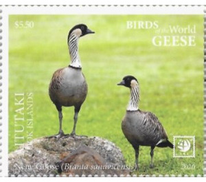 Nene Goose (Branta sandvicensis) - Aitutaki 2020 - 5.50