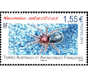 Neomaso antarcticus - French Australian and Antarctic Territories 2019 - 1.55