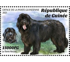 Newfoundland - West Africa / Guinea 2021