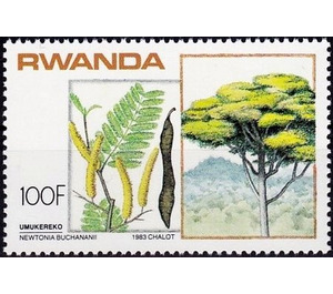 Newtonia buchananii - East Africa / Rwanda 1984 - 100