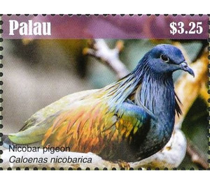 Nicobar Pigeon    Caloenas nicobarica - Micronesia / Palau 2018 - 3.25