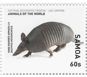 Nine-banded Armadillo - Polynesia / Samoa 2016 - 60