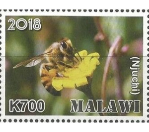 Njuchi - East Africa / Malawi 2019 - 700