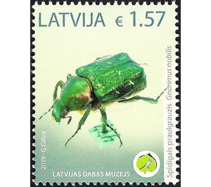 Noble Chafer (Gnorimus nobilis) - Latvia 2019 - 1.57