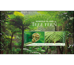 Norfolk Island Tree Fern (Cyathea brownii) - Norfolk Island 2019