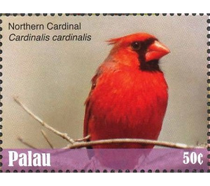 Northern Cardinal    Cardinalis cardinalis - Micronesia / Palau 2018 - 50