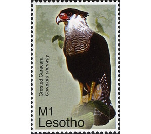 Northern Crested Caracara (Polyborus cheriway) - South Africa / Lesotho 2007 - 1