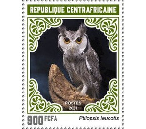 Northern White-faced Owl (Ptilopsis leucotis) - Central Africa / Central African Republic 2021 - 900