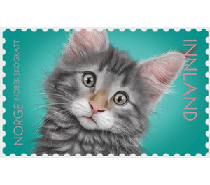 Norwegian Forest Kitten - Norway 2019