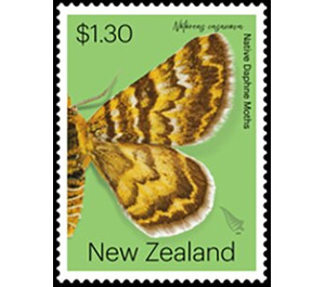 Notoreas casanova - New Zealand 2020 - 1.30