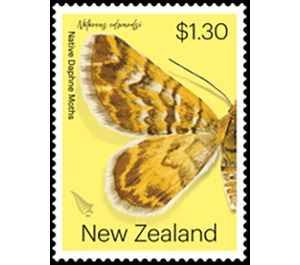Notoreas edwardsi - New Zealand 2020 - 1.30