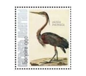 Nozeman & Sepp's "Birds of the Netherlands" - Caribbean / Bonaire 2021 - 99