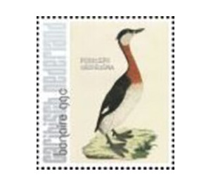 Nozeman & Sepp's "Birds of the Netherlands" - Caribbean / Bonaire 2021 - 99