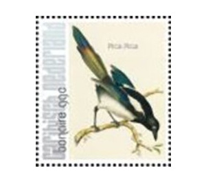 Nozeman & Sepp's "Birds of the Netherlands" - Caribbean / Bonaire 2021 - 99