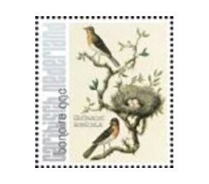 Nozeman & Sepp's "Birds of the Netherlands" - Caribbean / Bonaire 2021 - 99