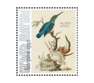 Nozeman & Sepp's "Birds of the Netherlands" - Caribbean / Bonaire 2021 - 99