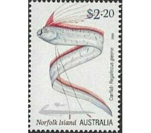 Oarfish (Regalecus glesne) - Norfolk Island 2020
