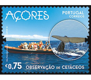 Observation of Whales on Faial - Portugal / Azores 2016 - 0.75