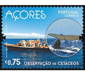 Observation of Whales on Faial - Portugal / Azores 2016 - 0.75