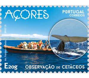 Observation of Whales on Faial - Portugal / Azores 2020