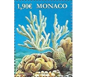 Oceanographic Museum of Monaco : Corals - Monaco 2020 - 1.90