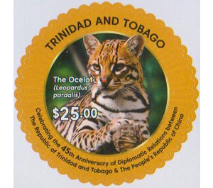 Ocelot - Caribbean / Trinidad and Tobago 2019 - 25