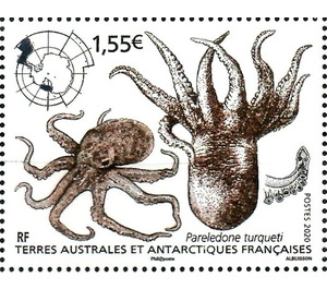 Octopus - French Australian and Antarctic Territories 2020 - 1.55