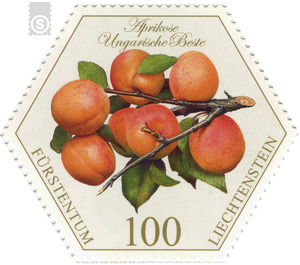 Old fruits: stone fruit - apricot Hungarian best  - Liechtenstein 2017 - 100 Rappen