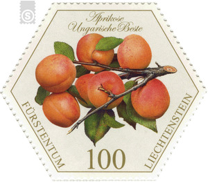 Old fruits: stone fruit - apricot Hungarian best  - Liechtenstein 2017 - 100 Rappen