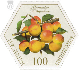 Old fruits: stone fruit - Mombacher Frühaprikose  - Liechtenstein 2017 - 100 Rappen