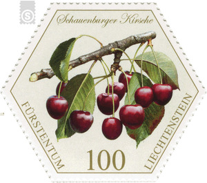 Old fruits: stone fruit - Schauenburger cherry  - Liechtenstein 2017 - 100 Rappen