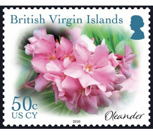Oleander - Caribbean / British Virgin Islands 2019 - 50