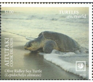 Olive Ridley Sea Turtle (Lepidochelys olivacea) - Aitutaki 2020 - 1