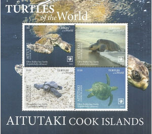 Olive Ridley Sea Turtle (Lepidochelys olivacea) - Aitutaki 2020