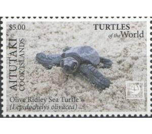 Olive Ridley Sea Turtle (Lepidochelys olivacea) - Aitutaki 2020 - 5