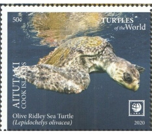 Olive Ridley Sea Turtle (Lepidochelys olivacea) - Aitutaki 2020 - 50