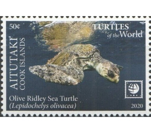 Olive Ridley Sea Turtle (Lepidochelys olivacea) - Aitutaki 2020 - 50