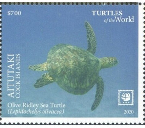 Olive Ridley Sea Turtle (Lepidochelys olivacea) - Aitutaki 2020 - 7
