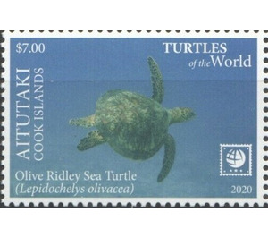 Olive Ridley Sea Turtle (Lepidochelys olivacea) - Aitutaki 2020 - 7