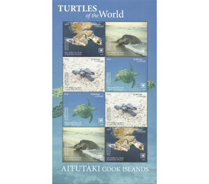 Olive Ridley Sea Turtle (Lepidochelys olivacea) - Aitutaki 2020