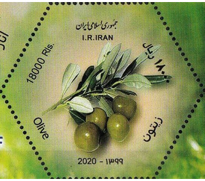 Olives - Iran 2020