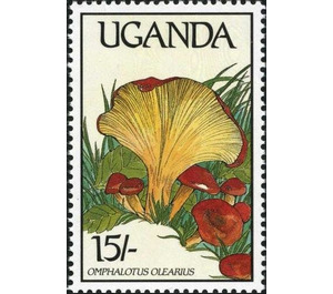 Omphalotus olearius - East Africa / Uganda 1989 - 15