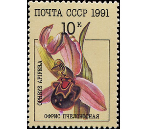Ophrys apifera - Bee Orchid - Russia / Soviet Union 1991 - 10