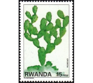 Opuntia. - East Africa / Rwanda 1995 - 15