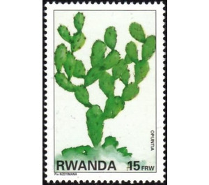 Opuntia. - East Africa / Rwanda 1995 - 15