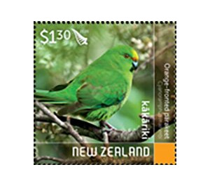 Orange-Fronted Parakeet (Cyanoramphus malherbi) - New Zealand 2020 - 1.30