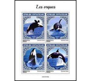 Orca (Orcinus orca) - Central Africa / Central African Republic 2021