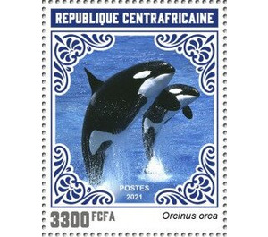 Orca (Orcinus orca) - Central Africa / Central African Republic 2021