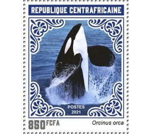 Orca (Orcinus orca) - Central Africa / Central African Republic 2021 - 850